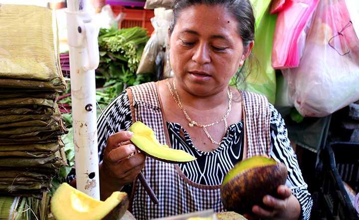 Frutas y Verduras Merida Yucatan