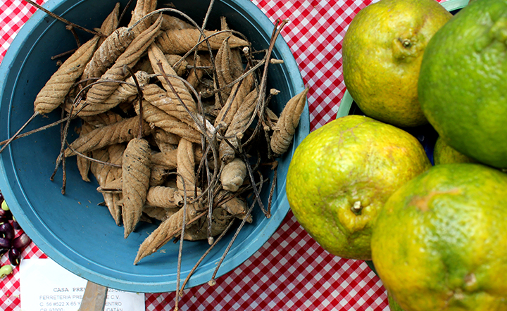 Frutas y Verduras Merida Yucatan