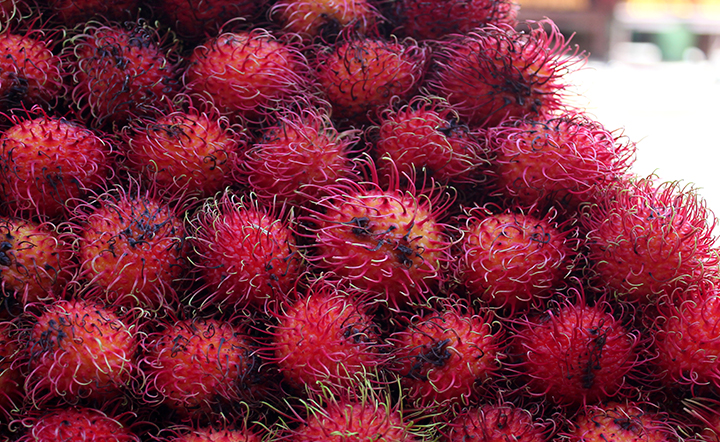 Frutas y Verduras Merida Yucatan