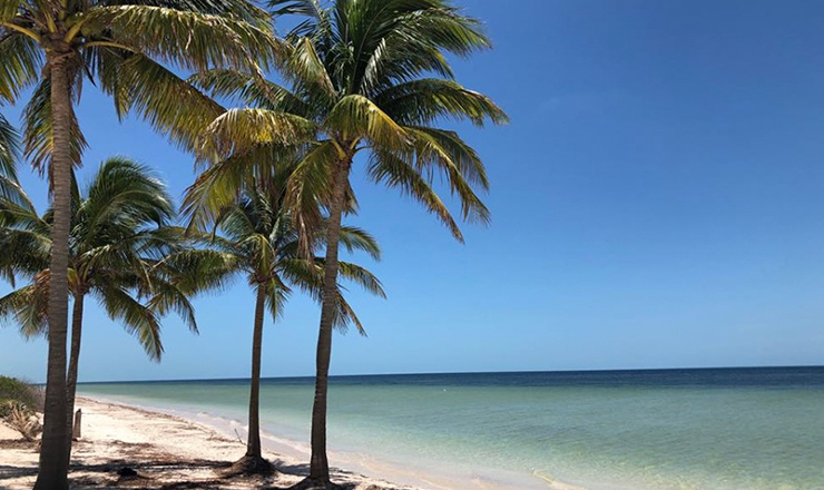 Beach Merida Yucatan