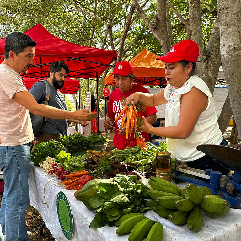 Agroecological Fair Coming Up August 24th Local Farmers & Artisans 2