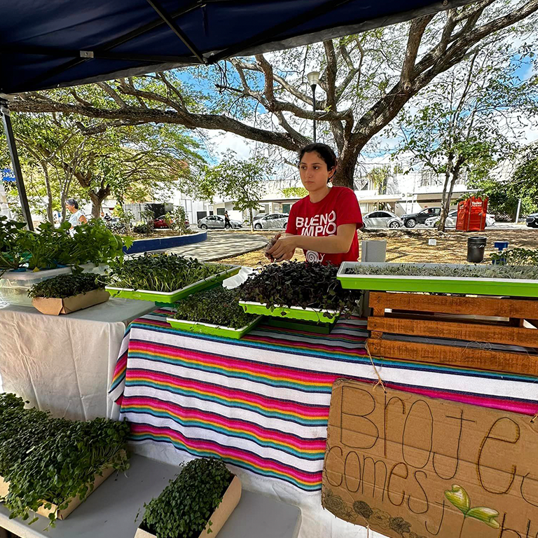 Agroecological Fair Coming Up August 24th Local Farmers & Artisans 7