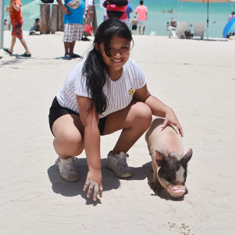 PigBeach_1