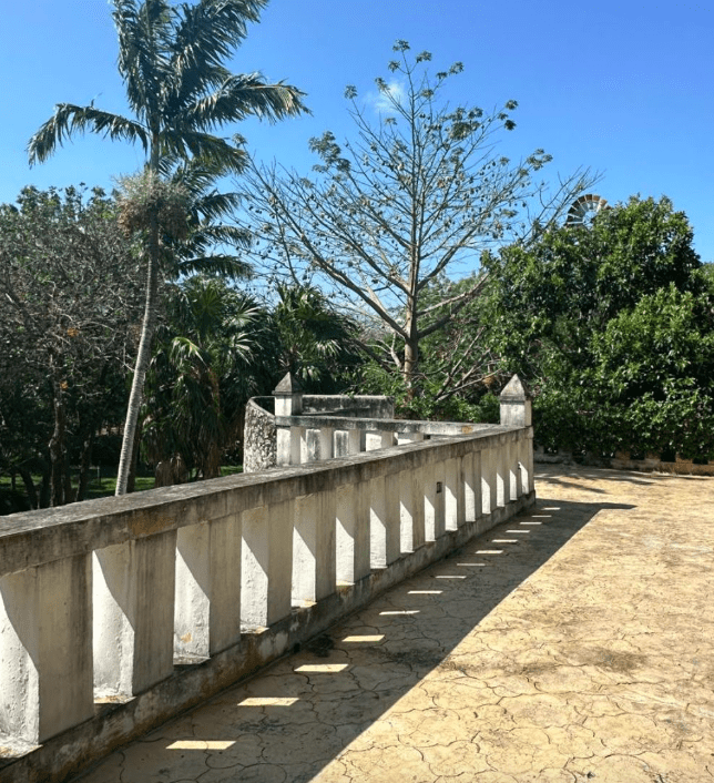 NEPANTLA: Art, Design, and Identity in the Yucatán Jungle