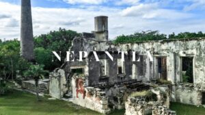 NEPANTLA: Art, Design, and Identity in the Yucatán Jungle