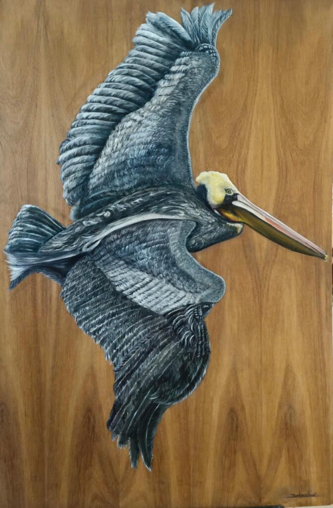donde el alma tiene plumas exhibition in Merida Yucatan