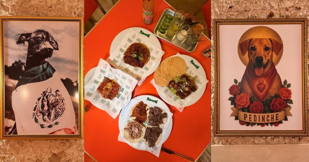 New Taco Spot in Mérida: Pedinche Taco Bar Brings Flavor, Fun & a Dog-Loving Twist