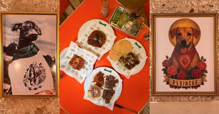 New Taco Spot in Mérida: Pedinche Taco Bar Brings Flavor, Fun & a Dog-Loving Twist