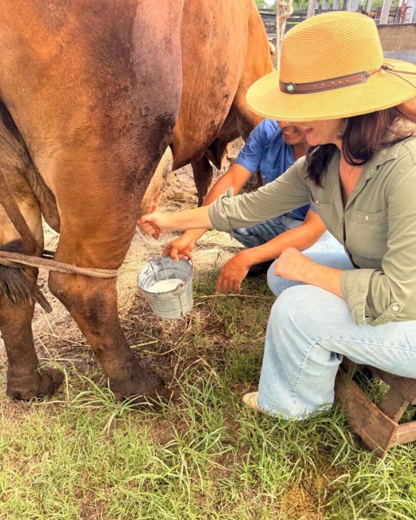 Rancho San Antonio Sustainable Farming