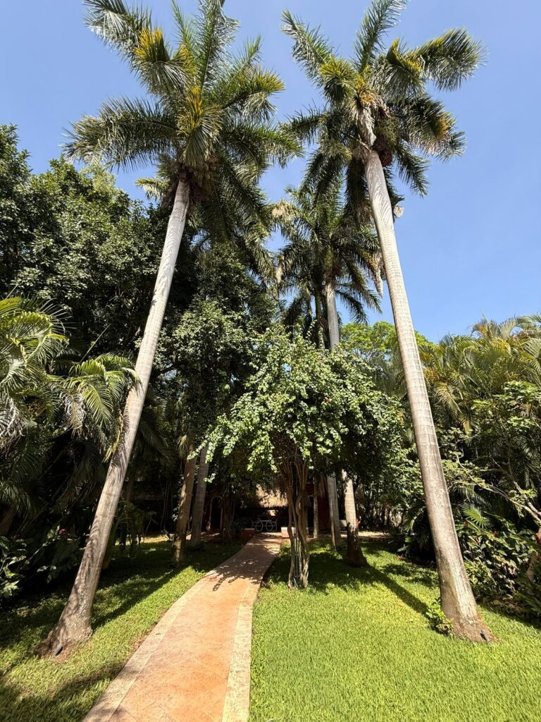 Historic Estate Rental in Merida, Yucatan