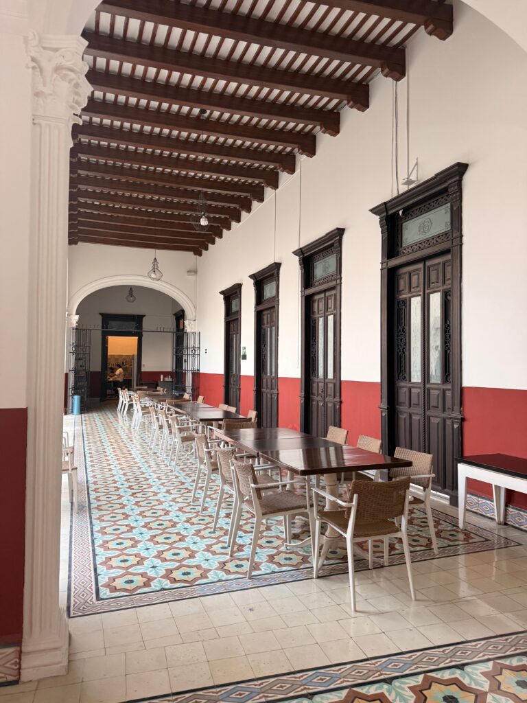 Refettorio Aprende: Cooking Classes That Give Back in Mérida