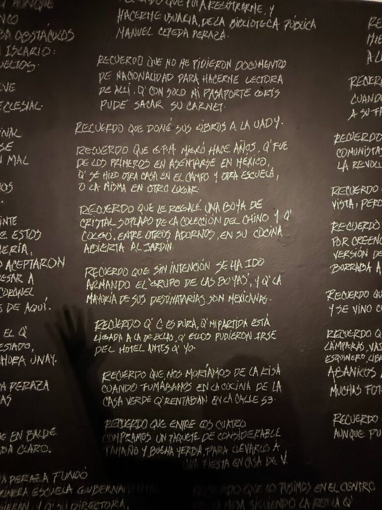 Wall with writting from the artist